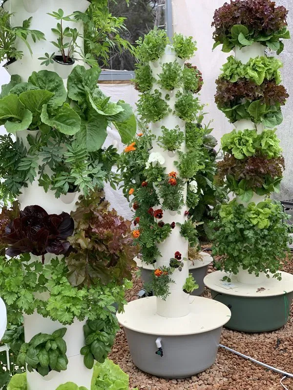 Urban Farmer